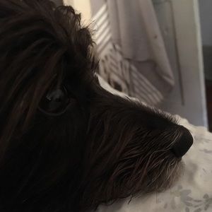 Meet your Posher, Evan